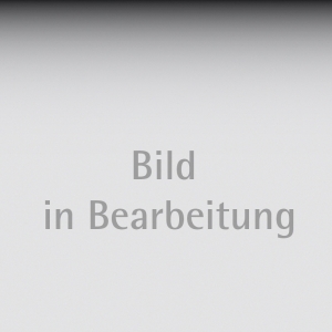 Handgewindebohrer 6H Satz   3 Stck. M 10x1,50