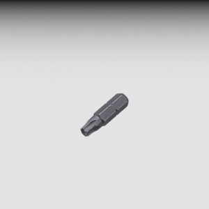 Bits Torx T 25