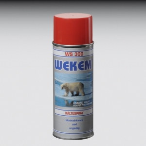Wekem WS 300,  400 ml Kltespray